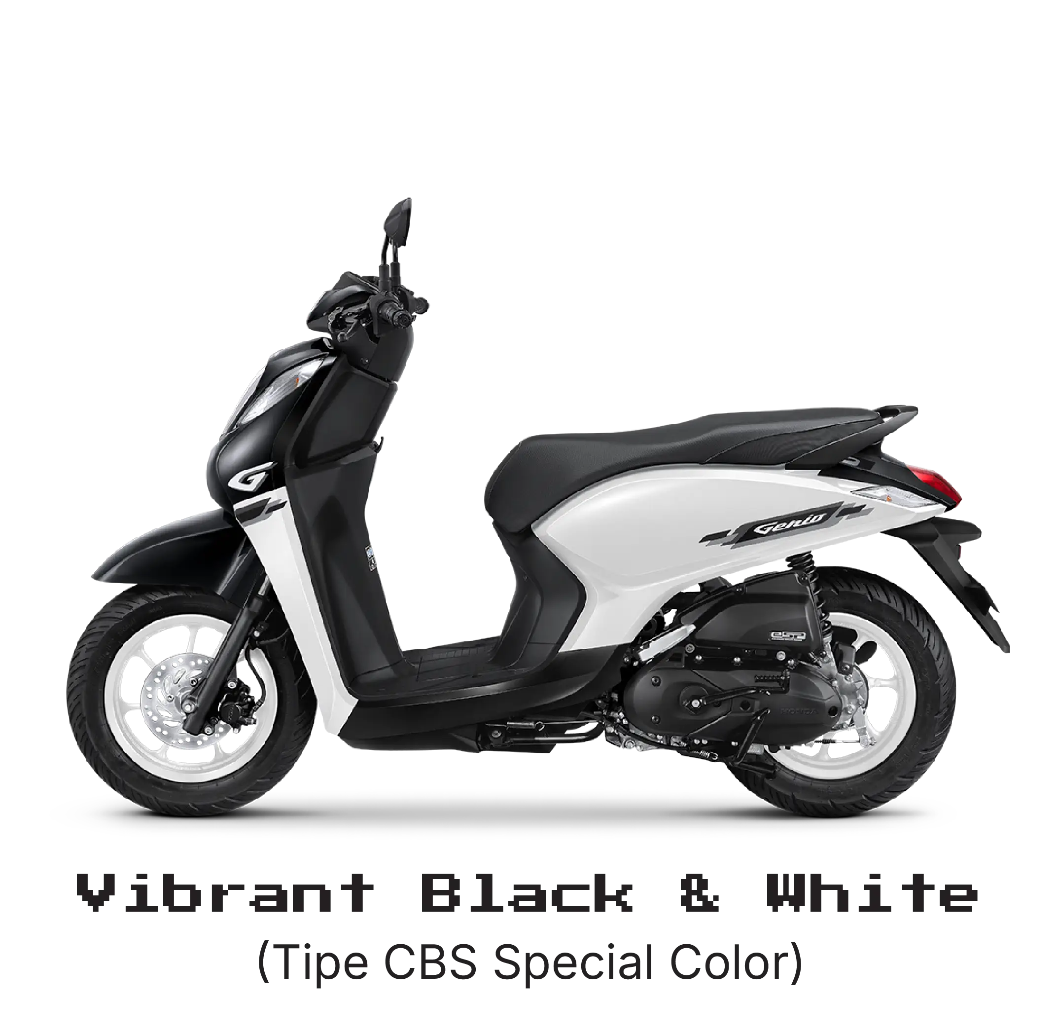 Vibrant Black & White