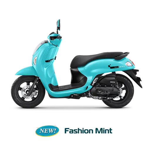 Fashion Mint