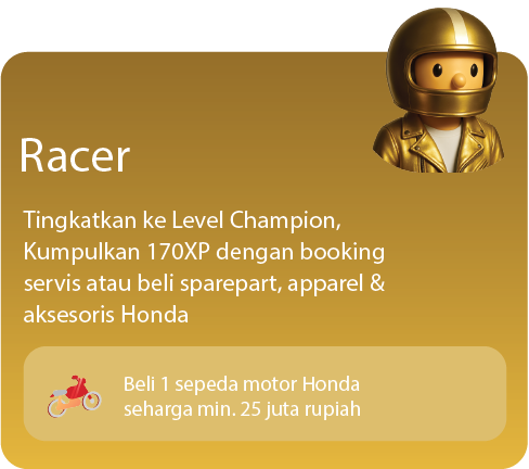 Racer Level