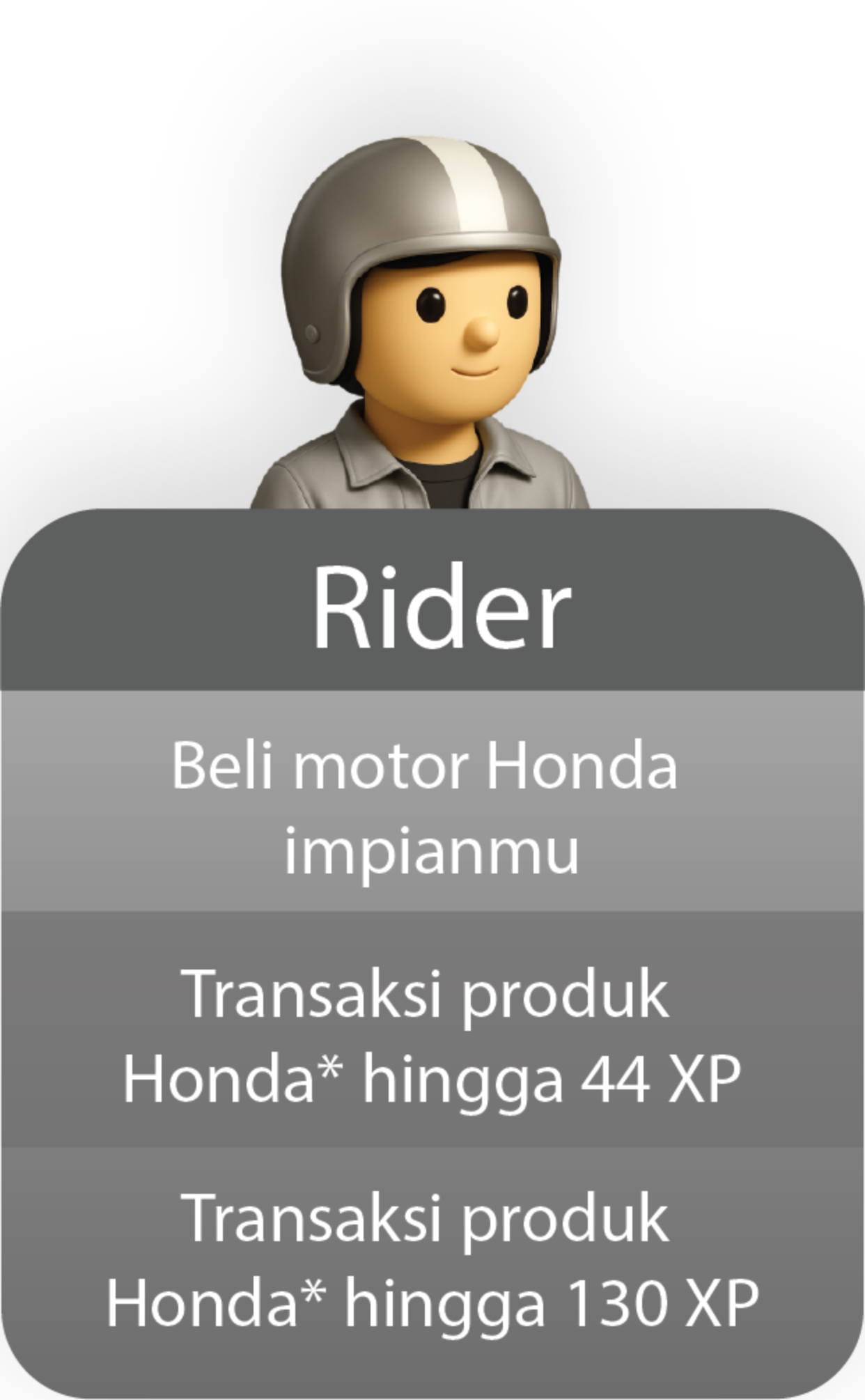 Rider Level